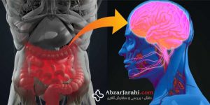 میکروب‌های داخل بدن چگونه روی مغز تاثیر می‌گذارند؟