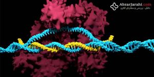 اصلاح ۹۰ درصد از نقص‌های ژنتیکی
