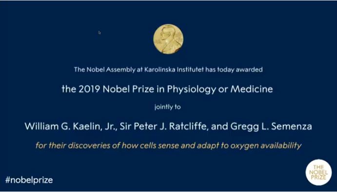 برندگان نوبل 2019
